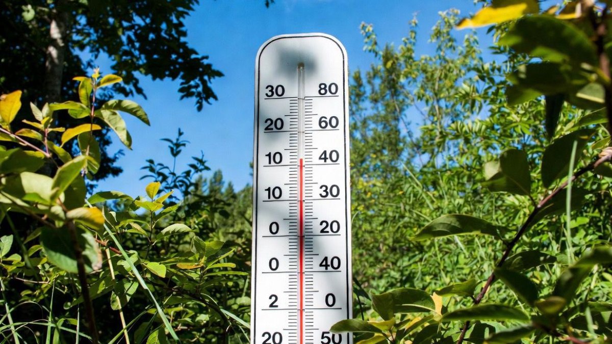 Hitteprotocol: maatregelen gemeente en andere organisaties