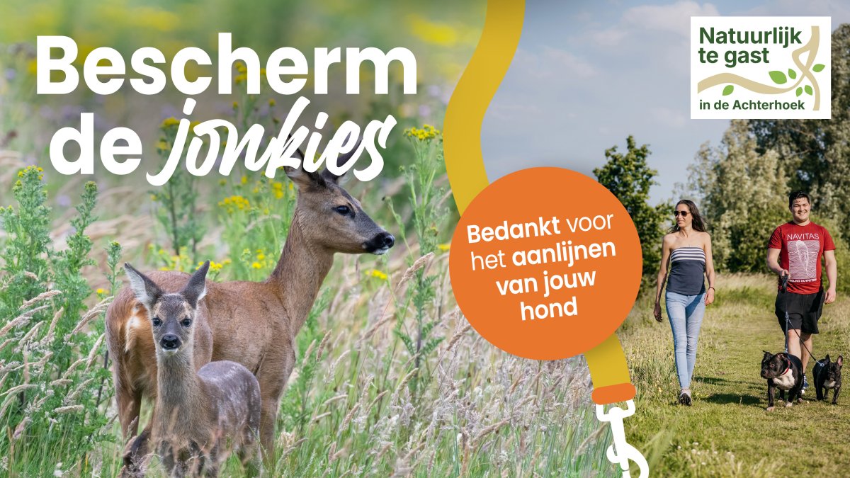 Bescherm de jonkies in het voorjaar